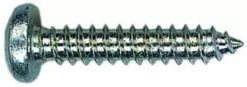Vis à Tôle Tête Cylindrique Large Empreinte Pozidriv Acier Zingué - DIN 7981
