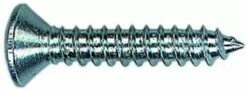 Vis à Tôle Tête Fraisée Bombée Empreinte Pozidriv Acier Zingué - DIN 7983