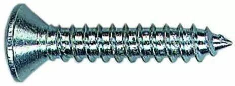 Vis à Tôle Tête Fraisée Bombée Empreinte Pozidriv Acier Zingué - DIN 7983 1 Vis à Tôle Tête Fraisée Bombée Empreinte Pozidriv Acier Zingué - DIN 7983