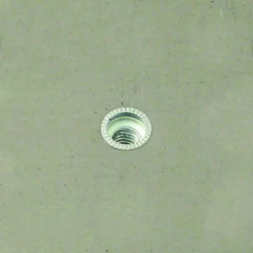 Écrou Rapporté Cranté Tête Fraisée 90° Inox A2 2 Écrou Rapporté Cranté Tête Fraisée 90° Inox A2 – Image 2